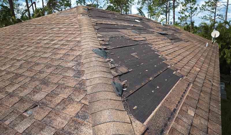 asphalt-shingle-roof-problems